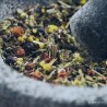 Alkaloidy pirolizydynowe + tropanowe